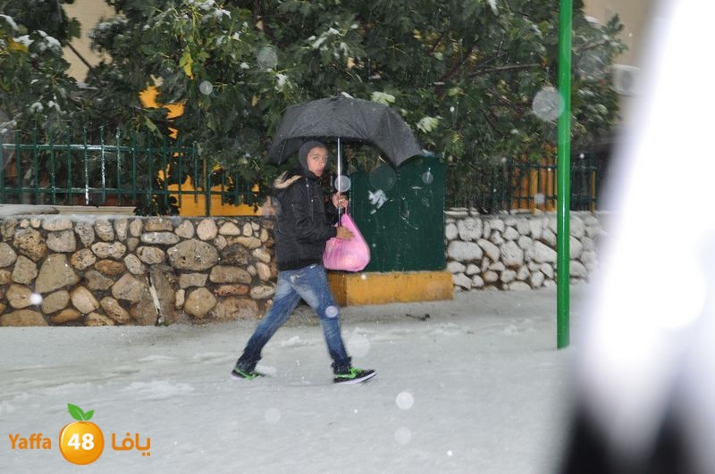 iceman lud 1213 (47).JPG